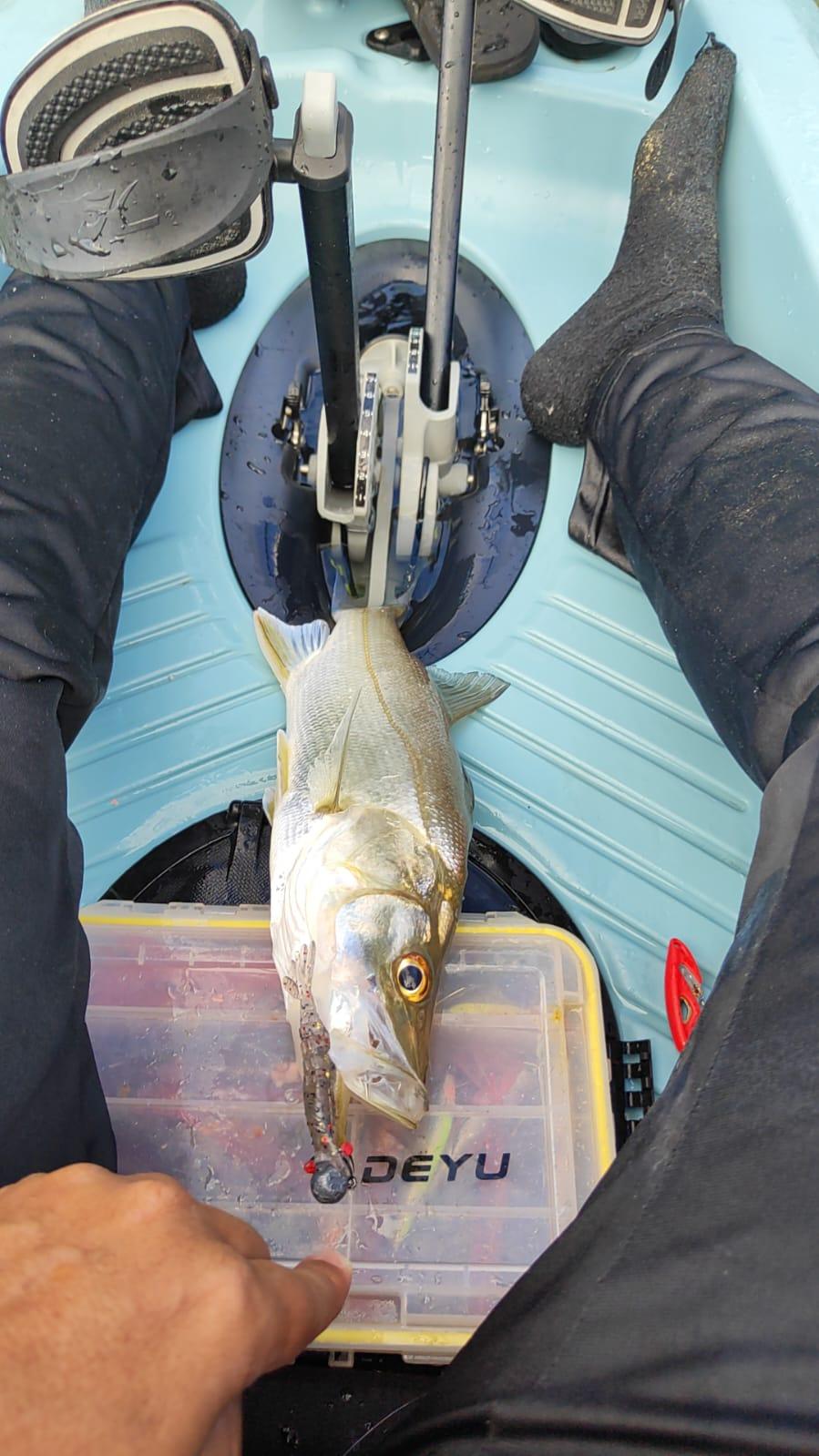 Robalo fisgado dentro do caiaque, sobre a caixa de iscas